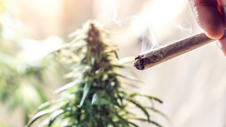Weed legalization
