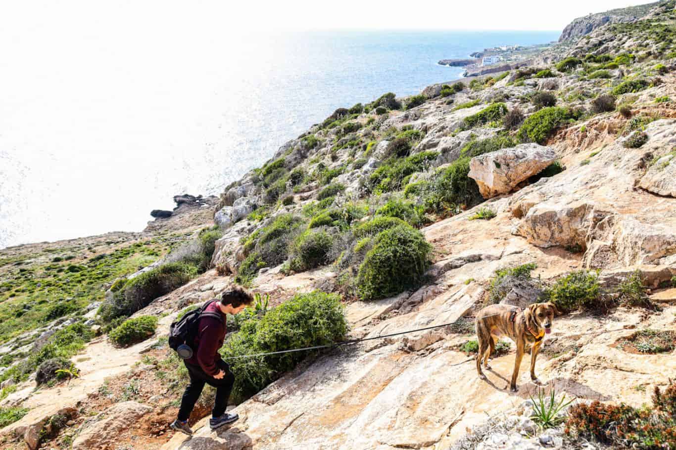 Hikers on a rocky trail along the cliffs of Qrendi with sea in the background.