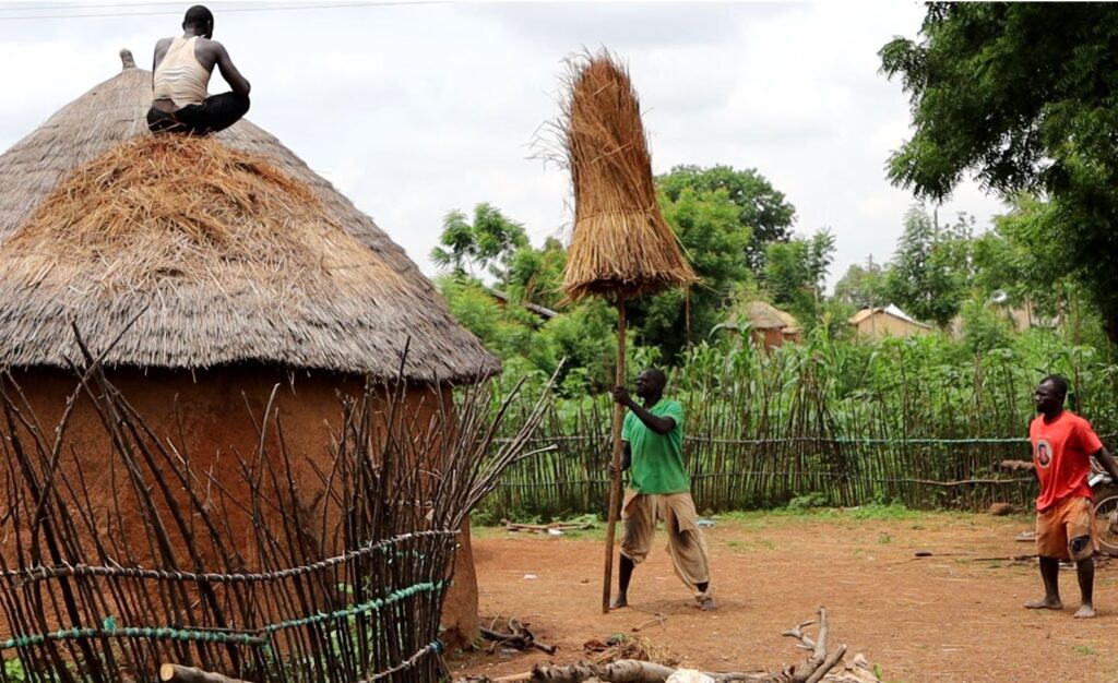 Men in a rural Ghanaian village working together to repair a traditional thatched roof using local materials.
