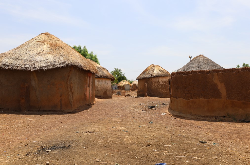 African mud huts