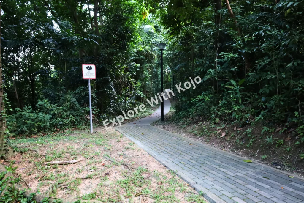Entrance to the Forest Walk at Southern Ridges with a path leading into the greenery.