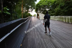 Man walking along the wooden Henderson Waves pedestrian bridge in Singapore surrounded by greenery
