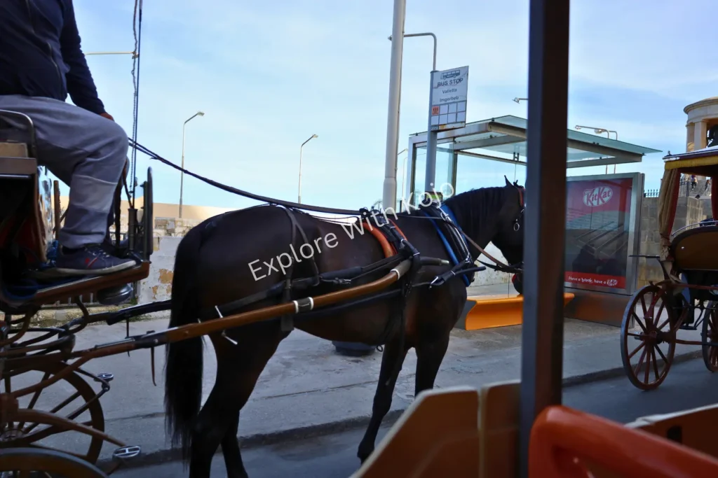 Horse-drawn carriage beside the harbor in Malta.