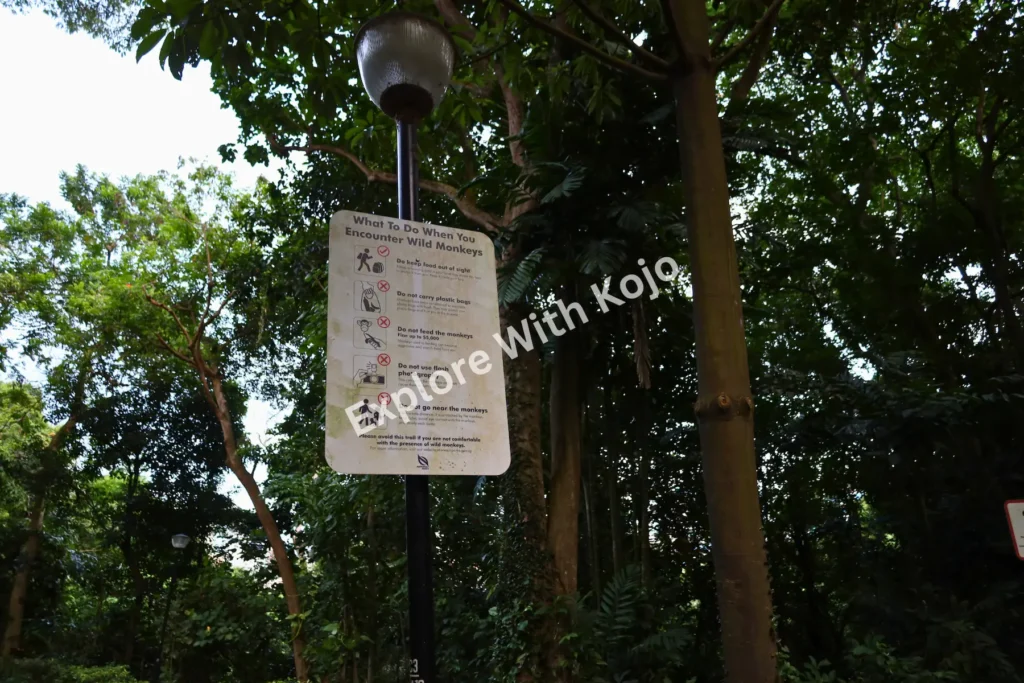 A trail signpost under a lamp post in the greenery of Southern Ridges, Singapore.