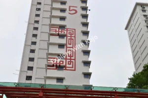 Chinatown Singapore HDB block with red Chinese character design.