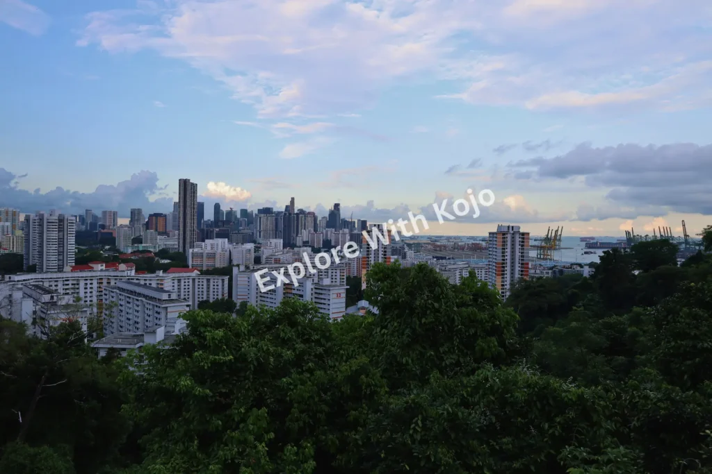 A view of Singapore’s skyline with high-rise buildings and greenery in the foreground.