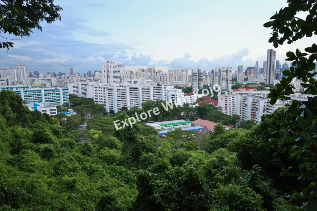 Panoramic view of Singapore’s skyline with green hills in the foreground.