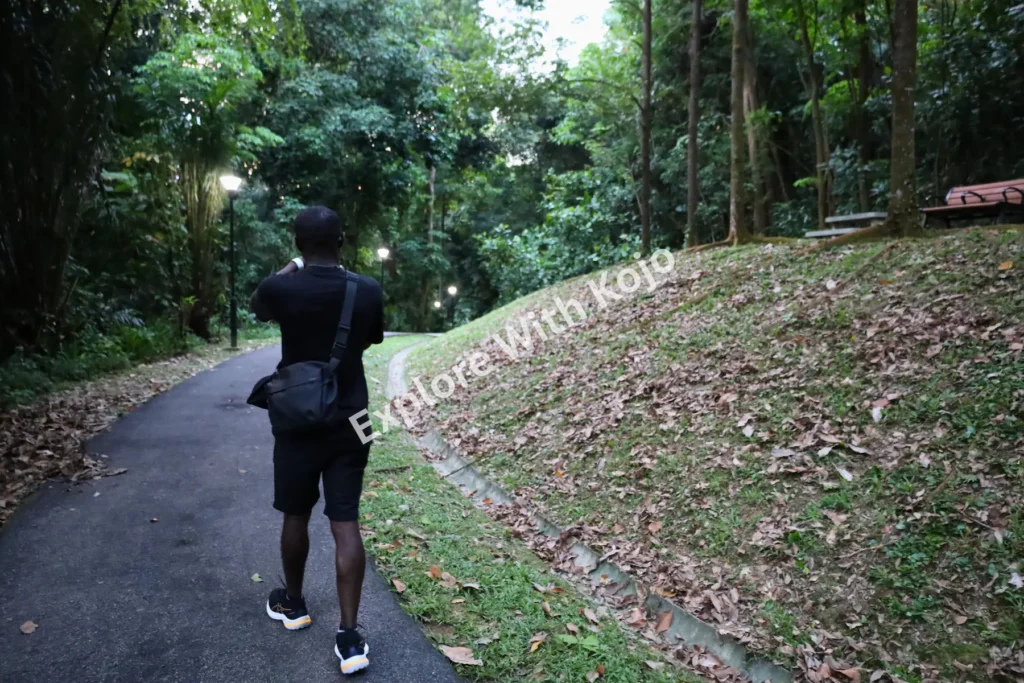 Man walking along a paved forest trail in Singapore surrounded by trees.
