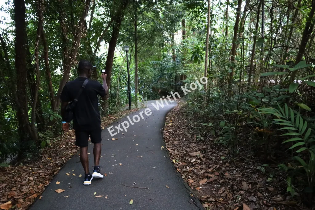 Man walking along a forest path in Singapore’s nature reserve.