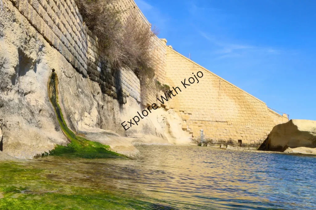 Stone wall and coastal plants Malta.