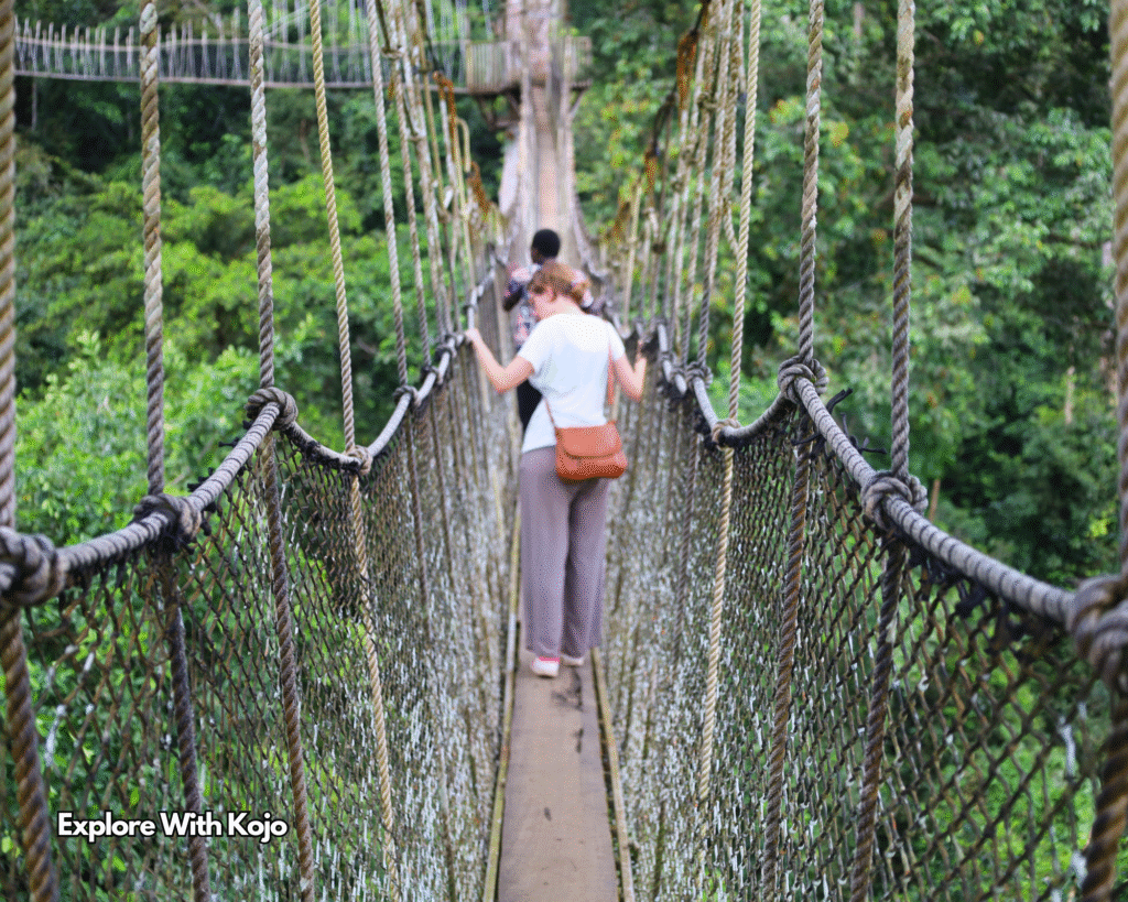 Visitors enjoying the Kakum canopy walkway experience
