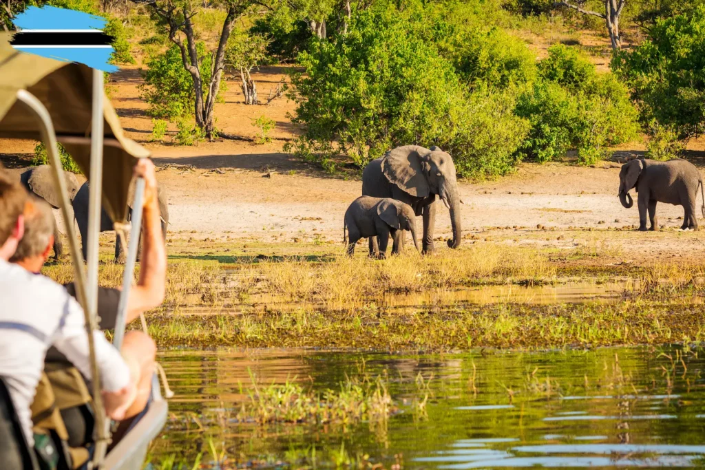 A safari boat ride watching elephants along the river in Botswana.