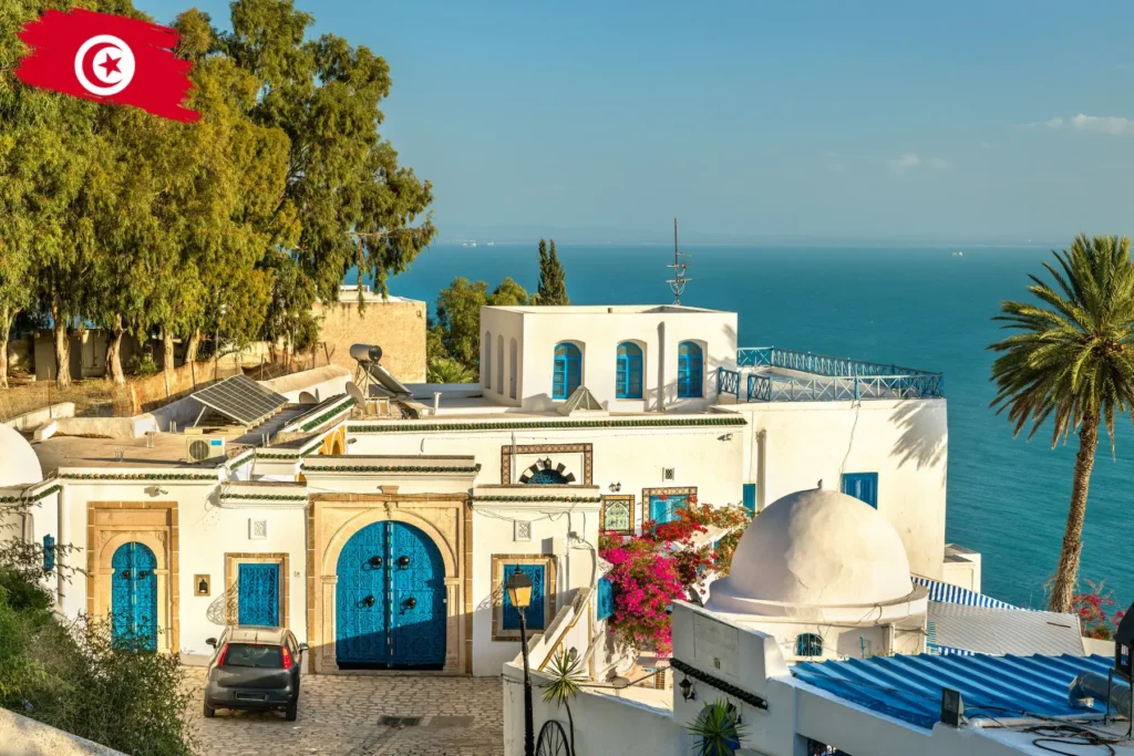 White and blue Mediterranean-style houses overlooking the sea in Tunisia.