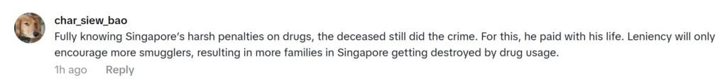Screenshot of a social media comment supporting Singapore’s execution of a drug trafficker.