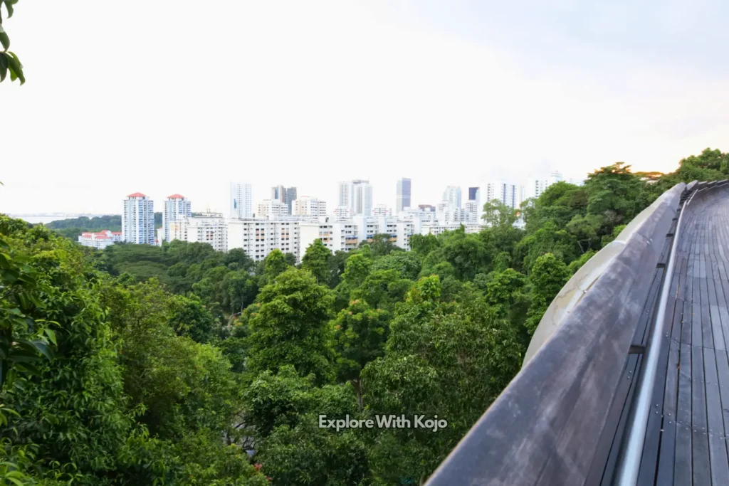 A stunning view of Singapore’s skyline seen from Henderson Waves bridge, with lush greenery in the foreground.