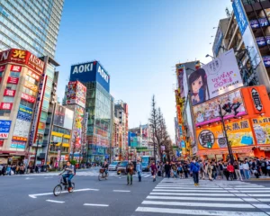 Crowded Tokyo street in Akihabara with billboards and shops, which is a representation of Japan’s culture and society.