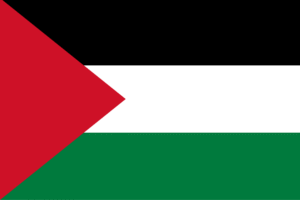 Flag of Palestine – black, white, and green horizontal stripes with a red triangle