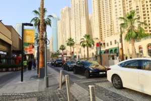 Cars parked along a palm-lined street in Dubai with shops and UAE flags, representing renting a car in the city