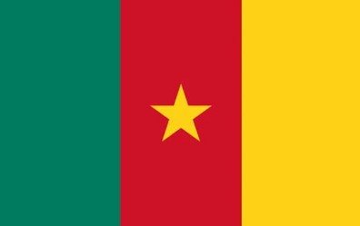 Flag of Cameroon with green, red, and yellow vertical stripes and yellow star.