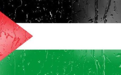 Flag of Palestine with black, white, and green stripes and red triangle.