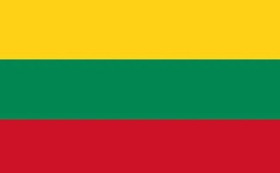 Flag of Lithuania with yellow, green, and red horizontal stripes.
