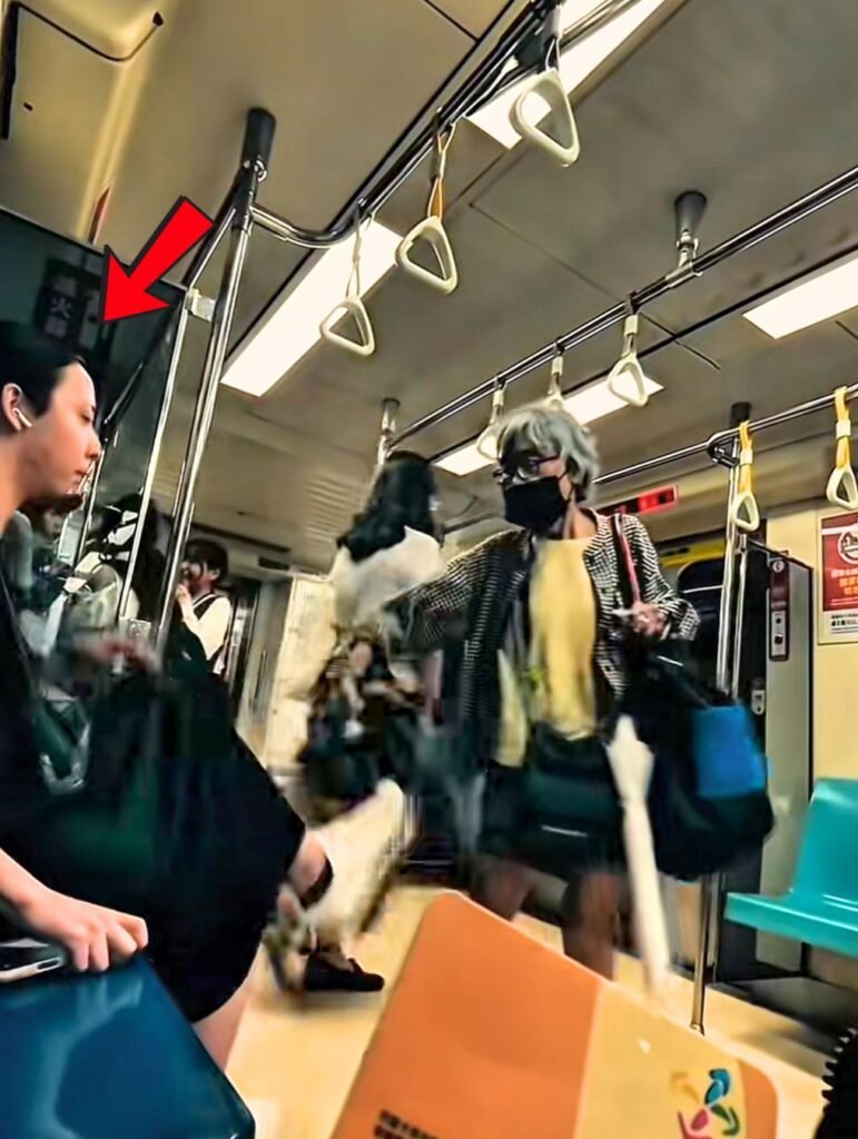 Young woman on Taiwan MRT caught on video kicking a 73-year-old passenger, viral 2025 incident