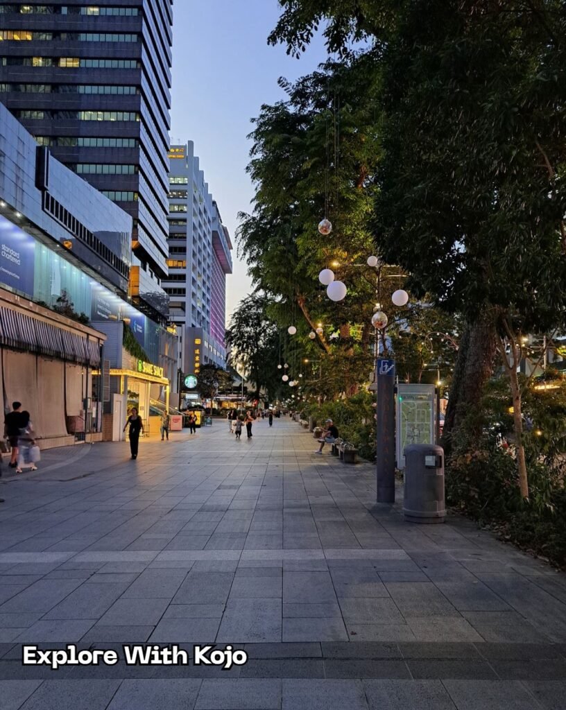 View of Orchard Road with glowing lights and pedestrians.