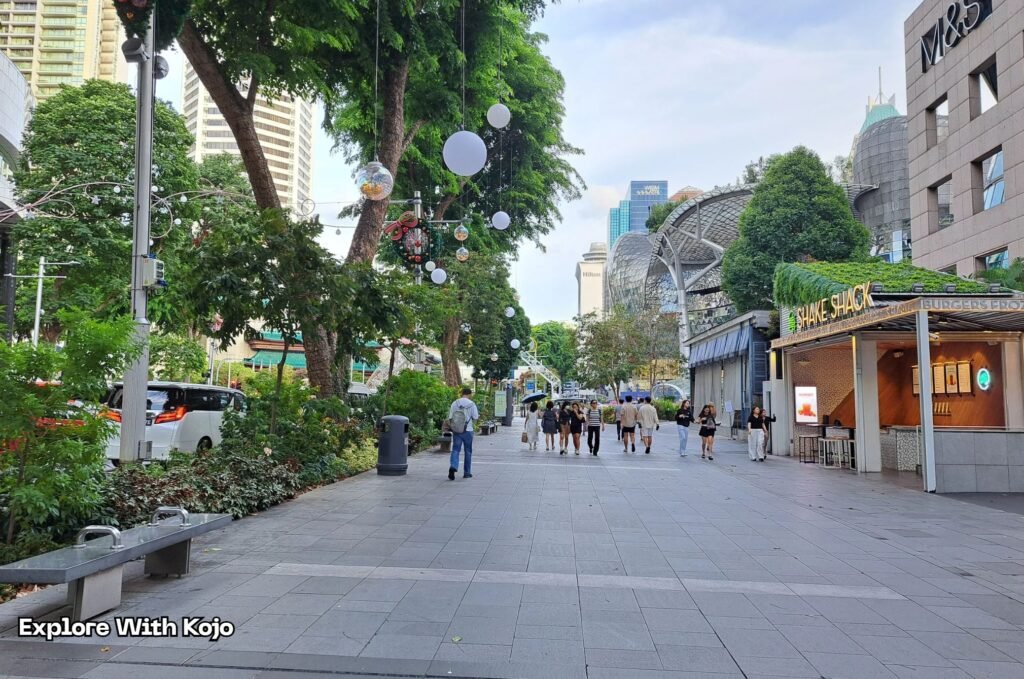 Orchard Road walkway near Shake Shack with Christmas lights and ornaments.